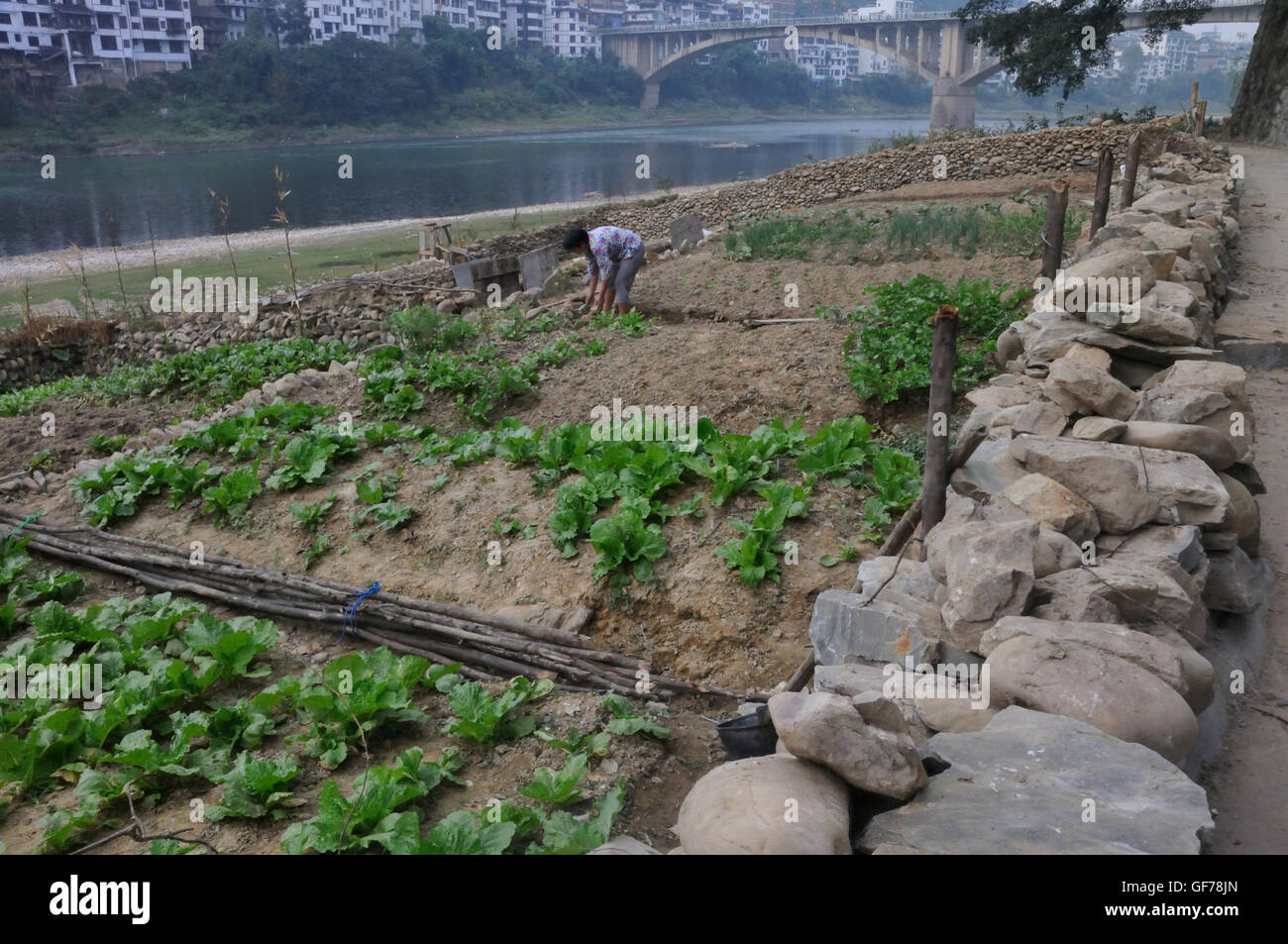 Jardin de ville et pont à travers la rivière Duliu à Congjiang, Guizhou, Chine Banque D'Images