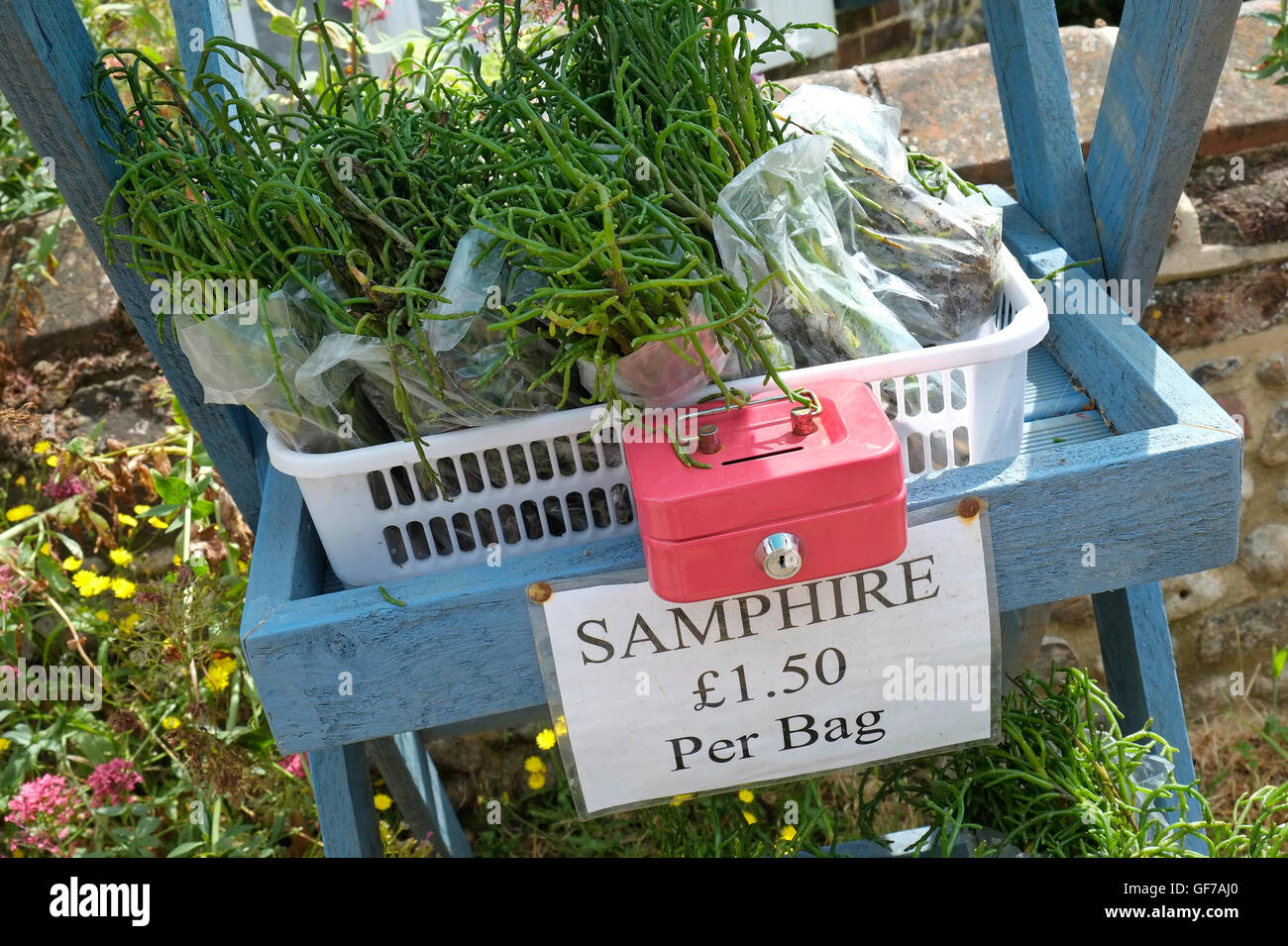 Samphire frais sur la vente à l'extérieur chambre à Blakeney, North Norfolk, Angleterre Banque D'Images