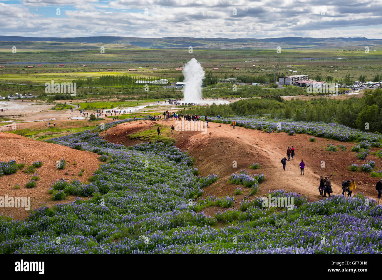 Strokkur Geysir Hot Spring Area, becs l'eau 30 mètres (100 pieds), au sud-ouest de l'Islande, Golden Circle Tour Banque D'Images