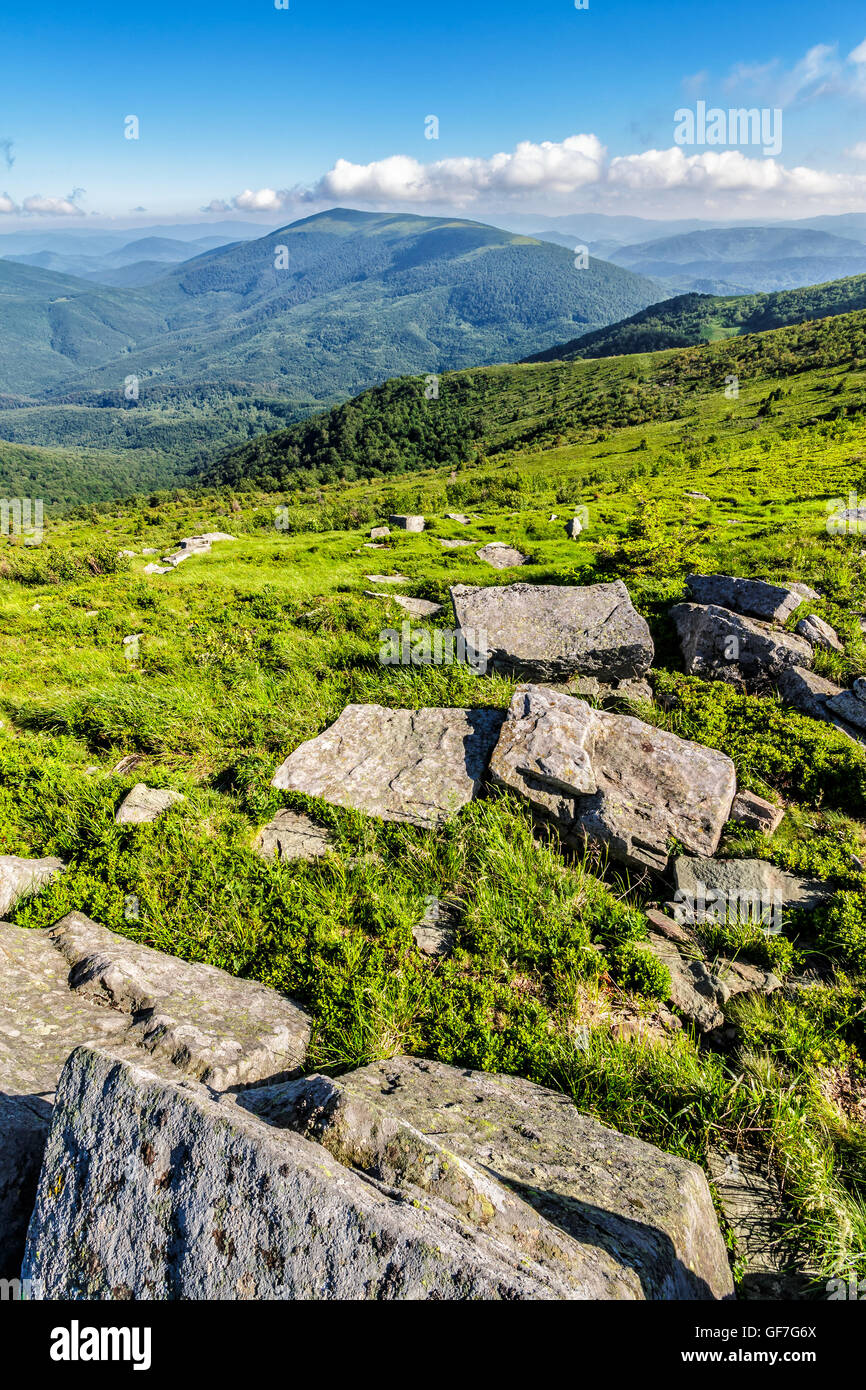 Mountain Valley paysage d'été avec des pierres. dans l'herbe sur le dessus de la colline de montagne Banque D'Images