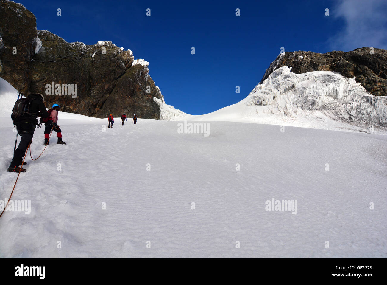 Approche d'Marghrrita pic sur la guinée glacier. Banque D'Images