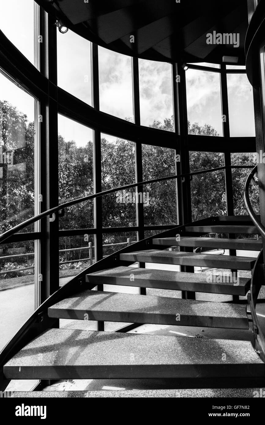 Vue avant d'escaliers en acier contre Windows et forêt Banque D'Images