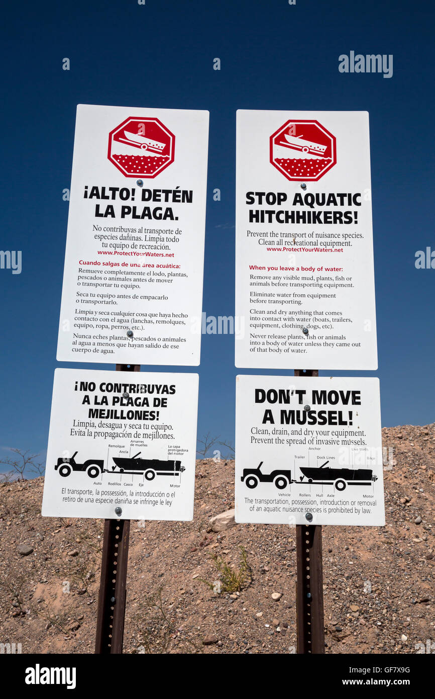 Las Vegas, Nevada - Signes à la rampe de mise à Echo Bay sur le Lac Mead de mettre en garde contre le transport moules envahissantes. Banque D'Images