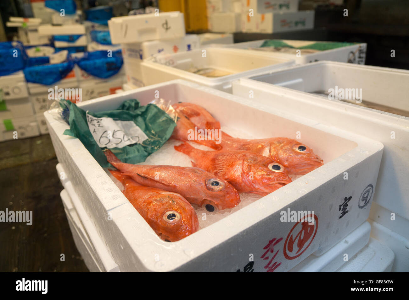 Big eye poisson rouge au marché aux poissons de Tokyo Banque D'Images