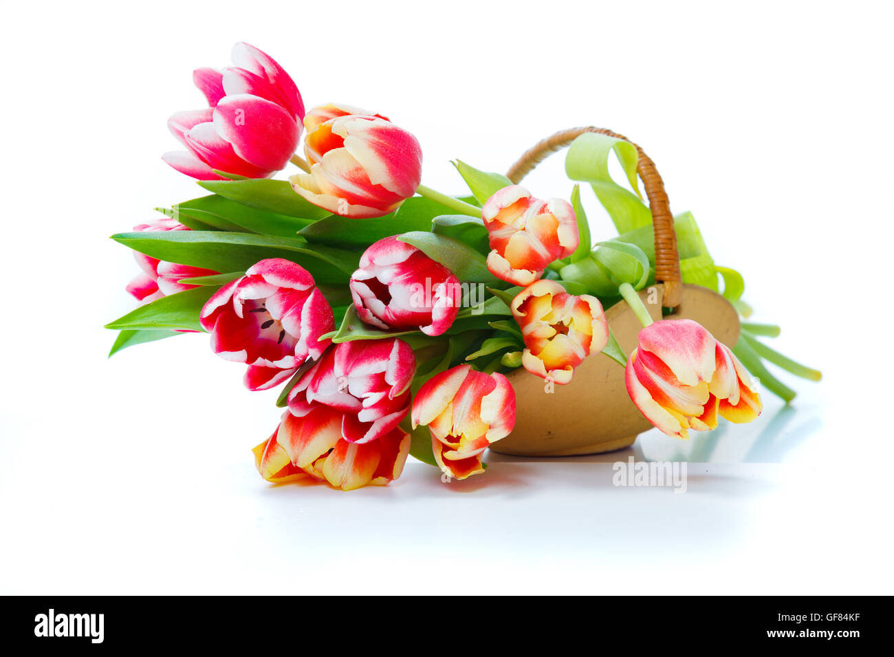 Panier avec des bouquets de tulipes colorées sur fond blanc Banque D'Images