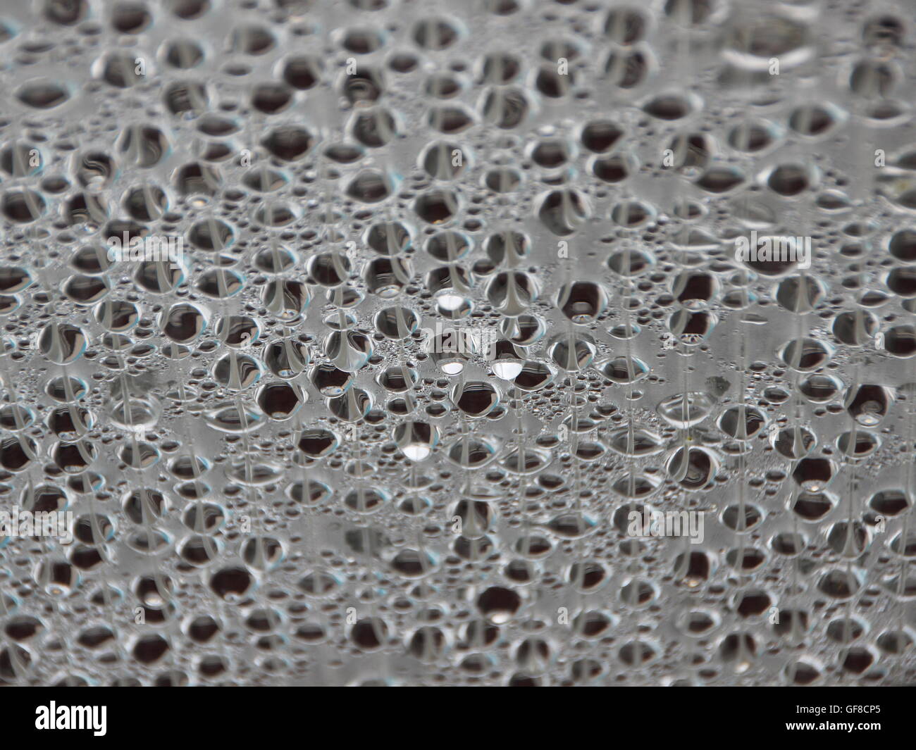 La condensation de l'humidité de l'eau dans le cadre de toit en plastique dans une petite piscine extérieure. Froid dehors - mais à l'intérieur chaleureux. Banque D'Images