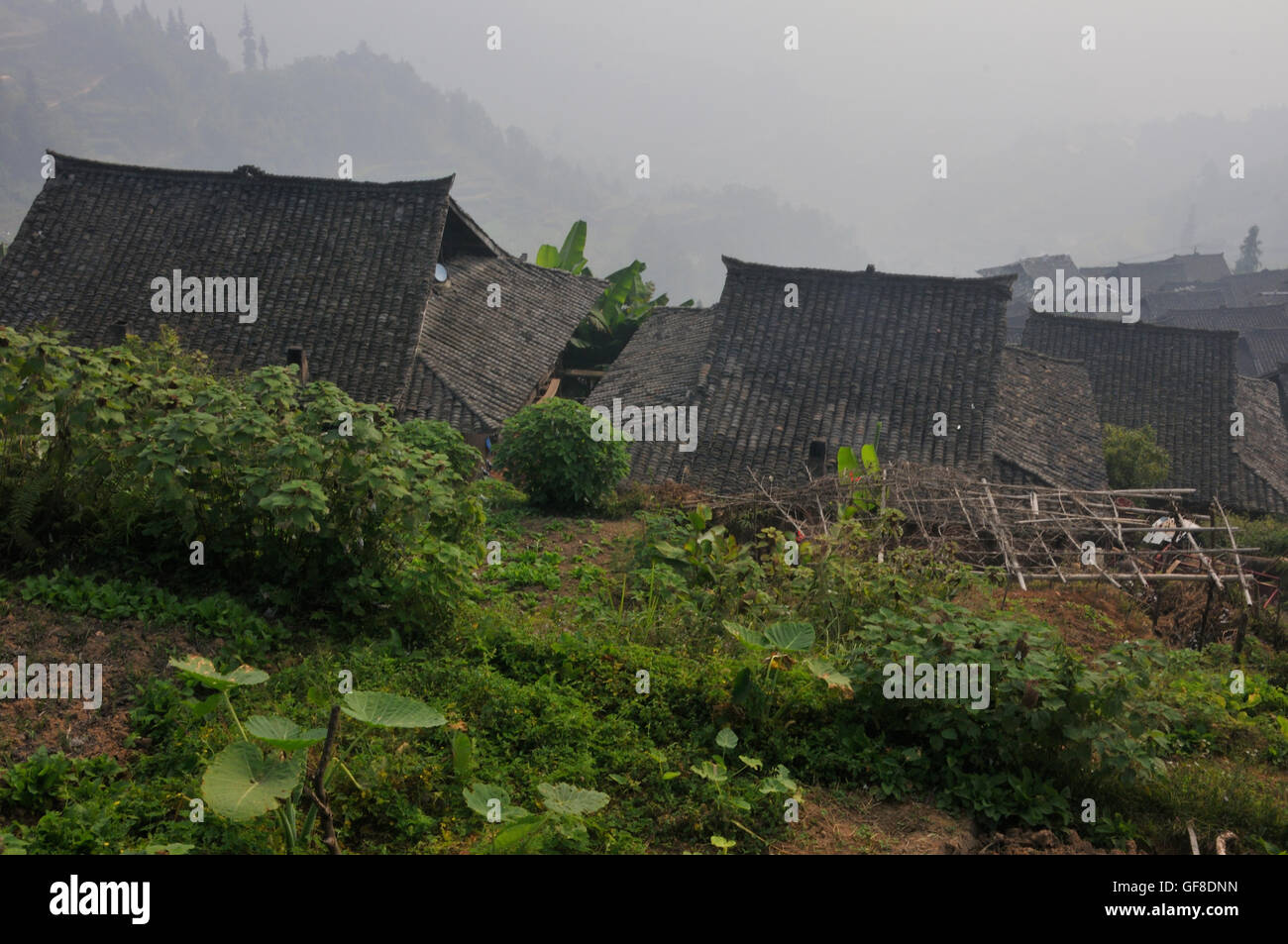 Maisons et jardins en Basha, Guizhou, Chine Banque D'Images