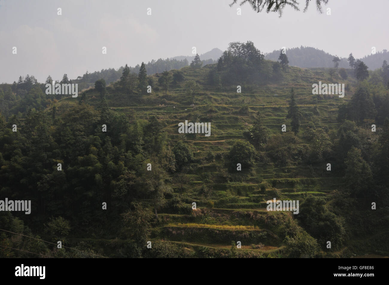 Au-dessus de la colline en terrasses Jitang, Guizhou, Chine Banque D'Images