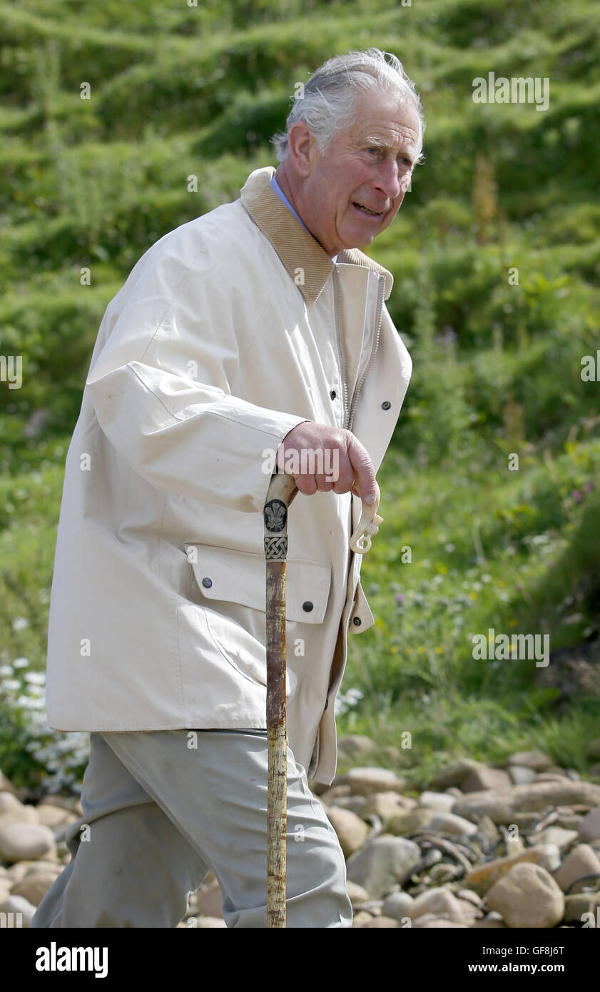 Le Prince de Galles, connu sous le nom de duc de Rothesay tandis qu'en Ecosse, promenades sur la plage près de Castle Mey, à surveiller le personnel de Nouvelle Vague Foods, une entreprise basée à Wick, la récolte des algues comestibles de la plage. Banque D'Images