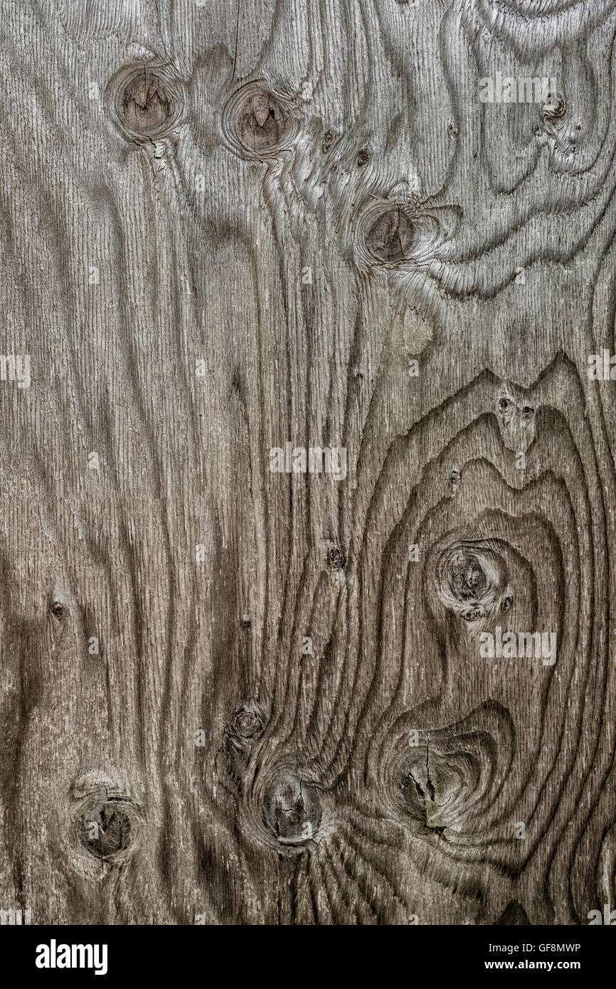 La texture, des formes et des motifs du grain et nœuds dans une planche de bois décoloré Banque D'Images