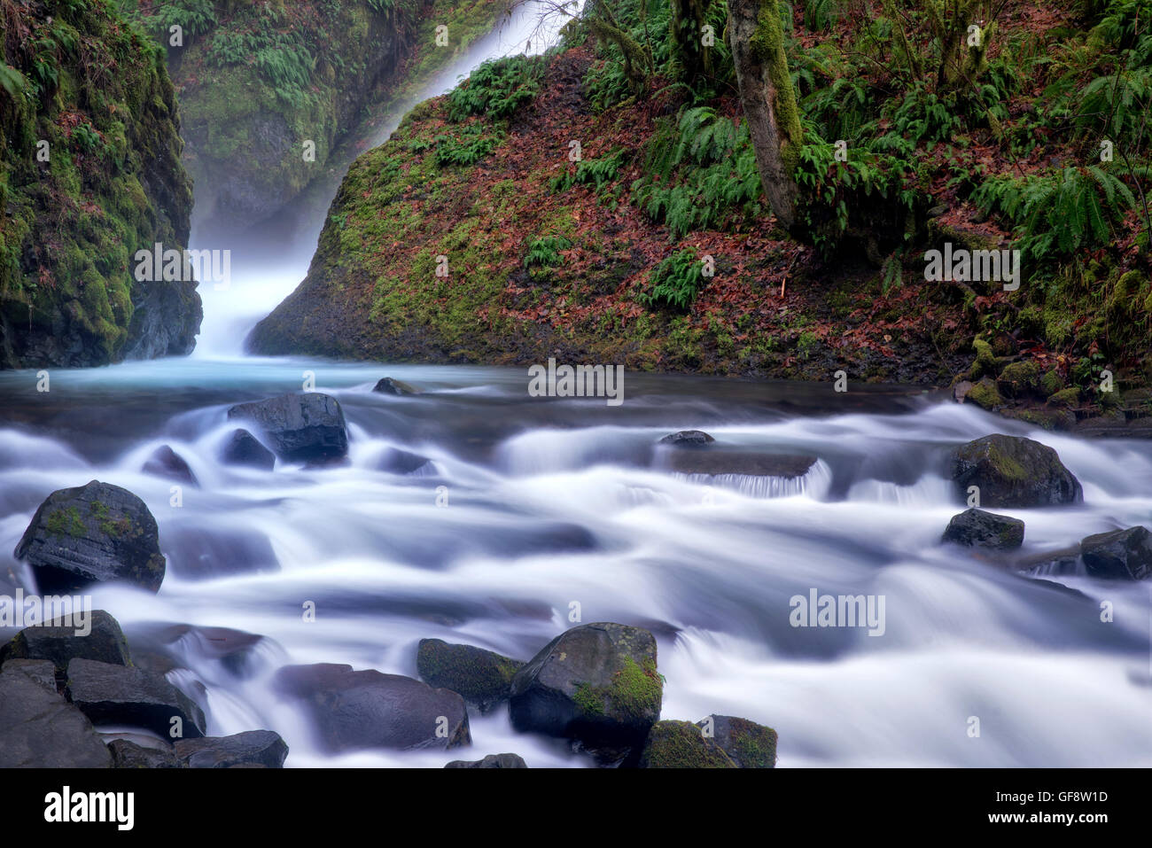 Bridal Veil Falls. Columbia River Gorge National Scenic Area, New York Banque D'Images