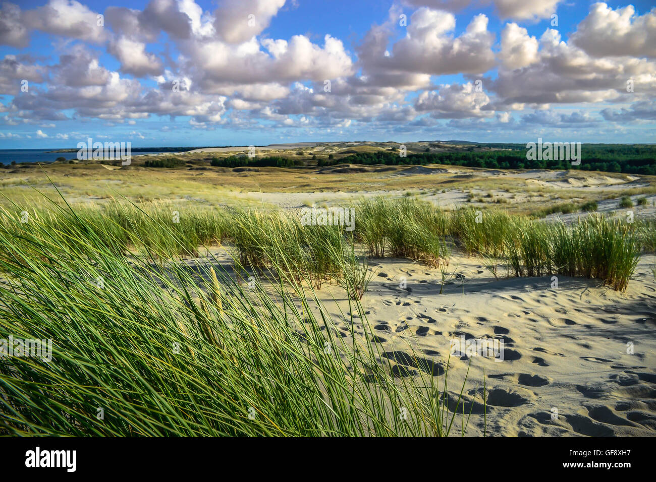 Les dunes de Nida, Lituanie, Voyage, tourisme, dunes, sable, ciel bleu Banque D'Images