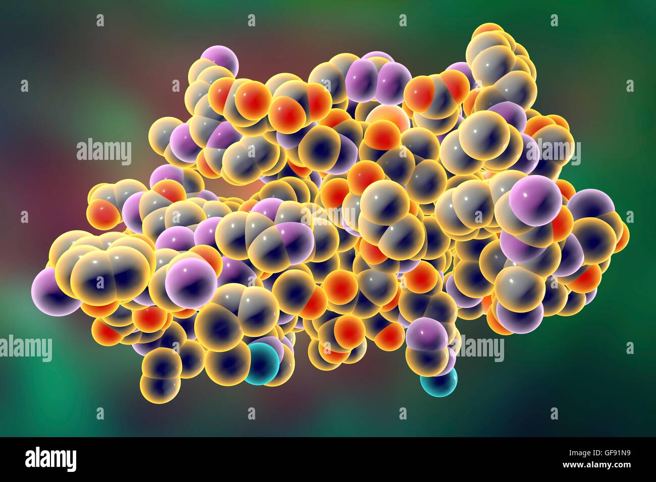 Molécule de l'insuline. Modèle d'ordinateur montrant la structure d'une molécule de l'hormone insuline. L'insuline joue un rôle important dans la régulation de la glycémie. L'insuline est libérée par le pancréas lorsque les niveaux de sucre dans le sang sont élevés, par exemple après un repas, promp Banque D'Images