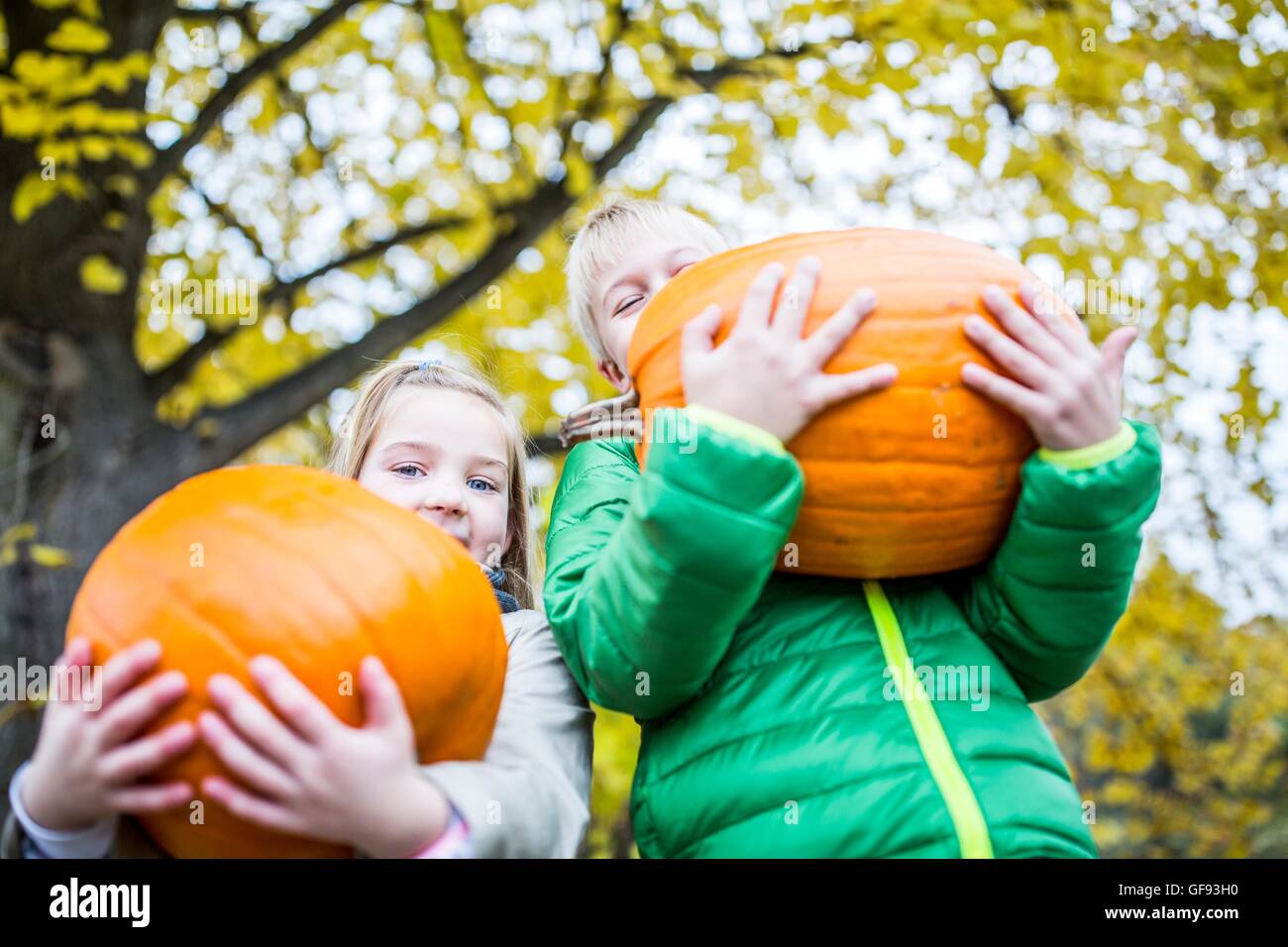 Parution du modèle. Les enfants tenant citrouille dans park, portrait, sourire. Banque D'Images