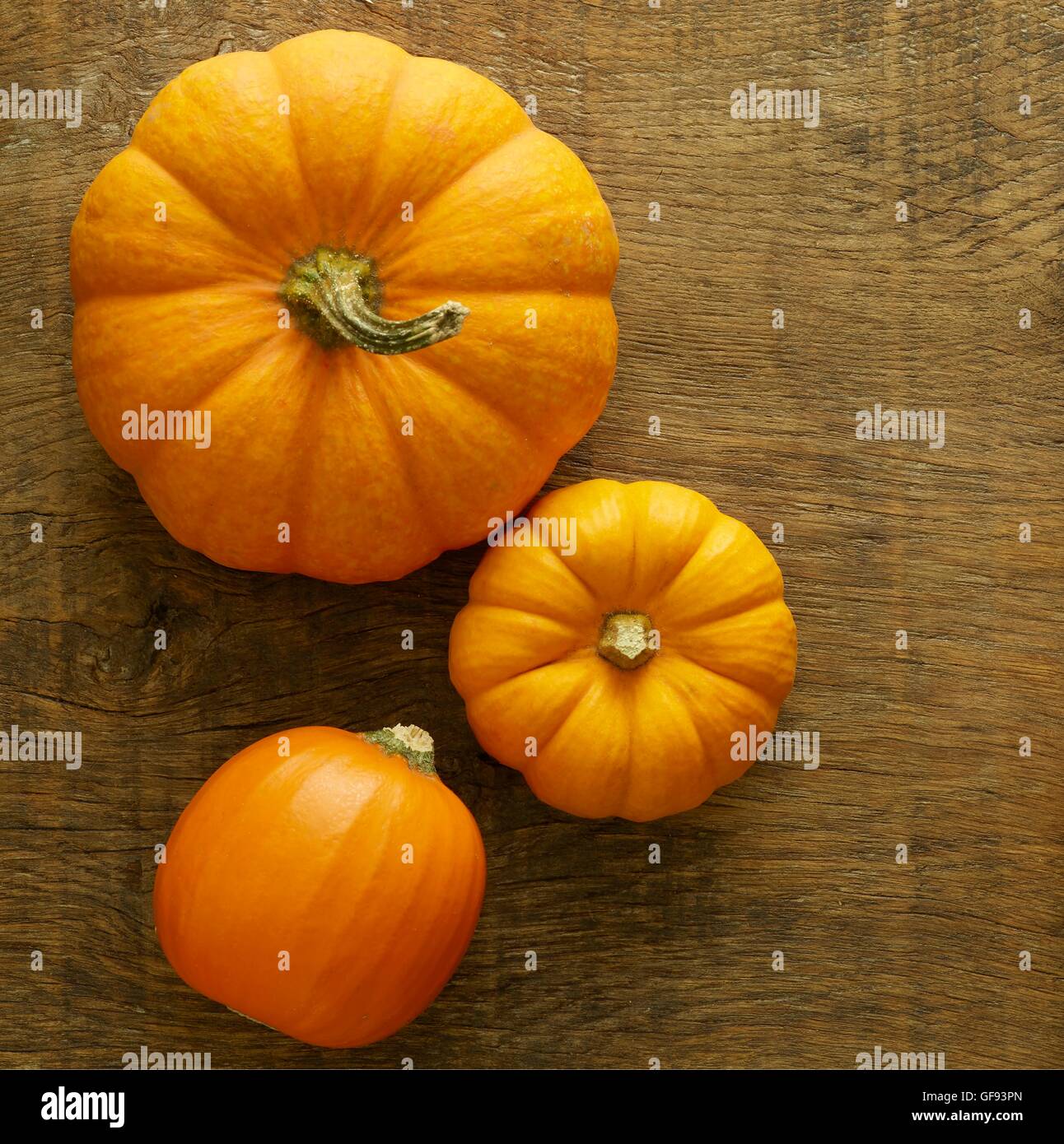 Cendrillon citrouille (Cucurbita moschata) et Jack être peu miniature (Cucurbita pepo) citrouilles, toujours la vie. Banque D'Images