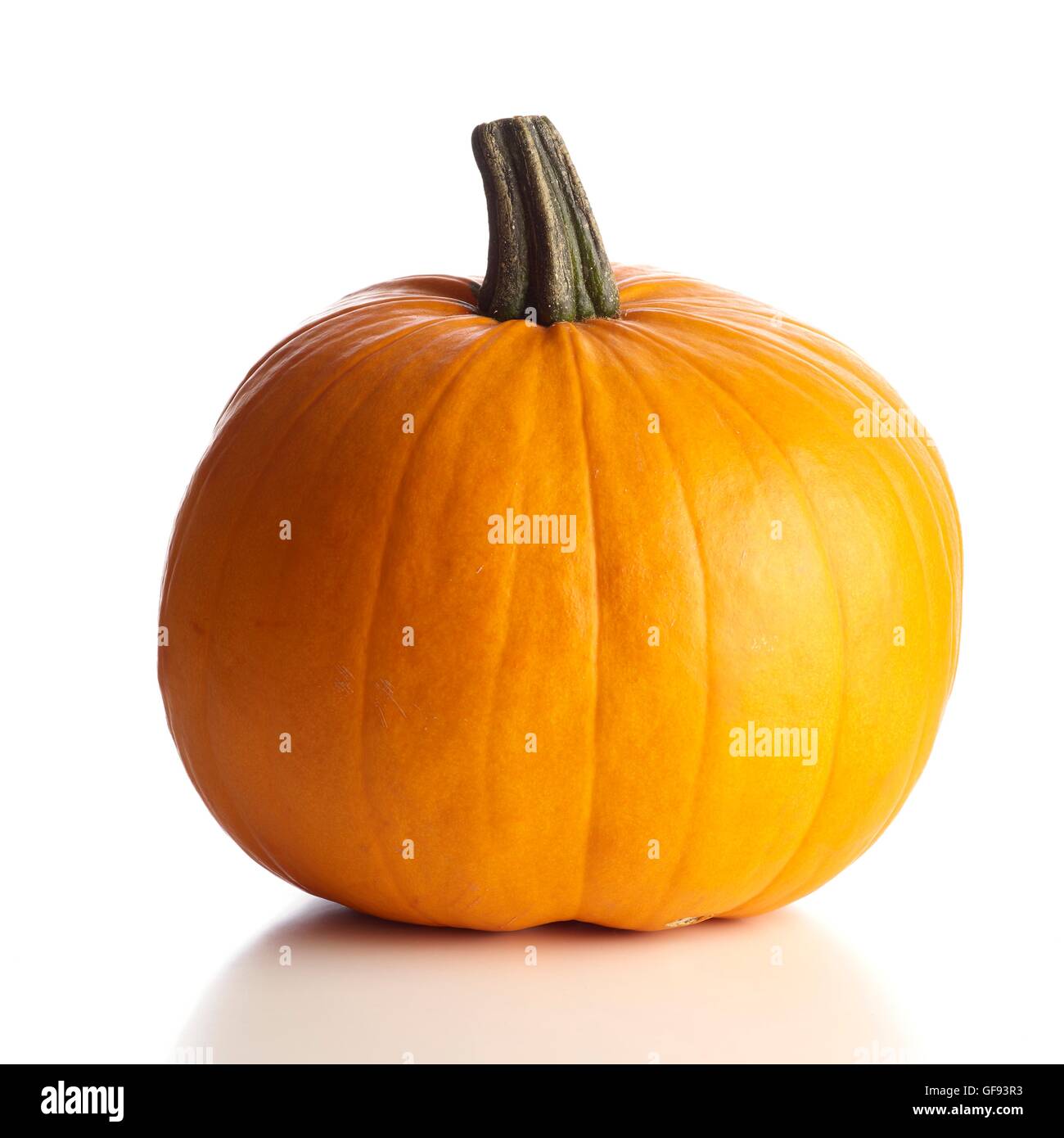 Jack o lantern (Cucurbita pepo) pumpkin carving, studio shot. Banque D'Images