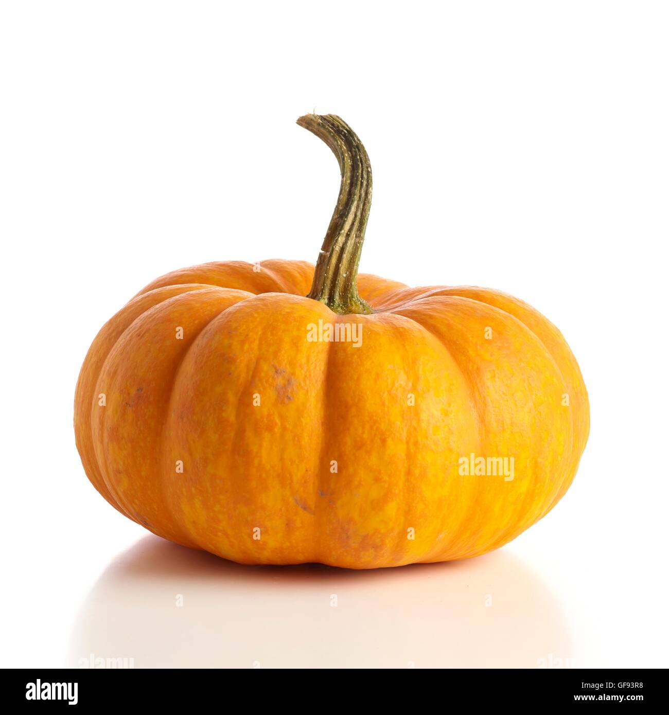 Cendrillon citrouille (Cucurbita moschata), studio shot. Banque D'Images