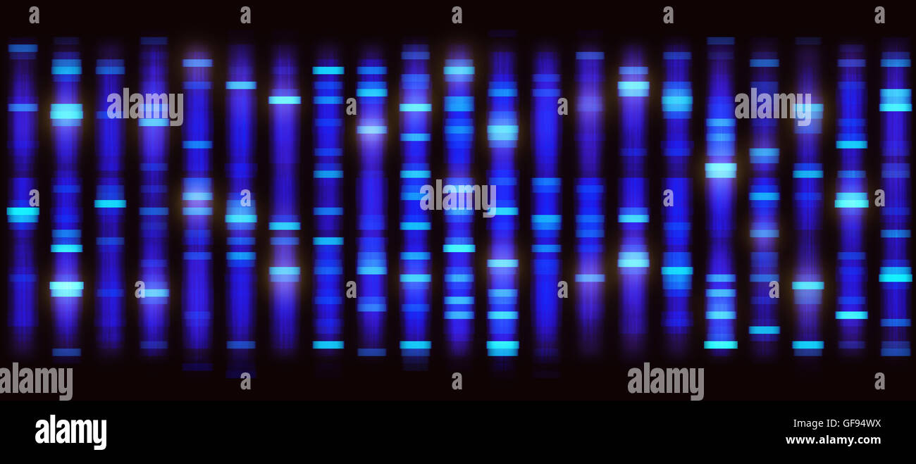 Le séquençage d'ADN, de l'illustration. Banque D'Images