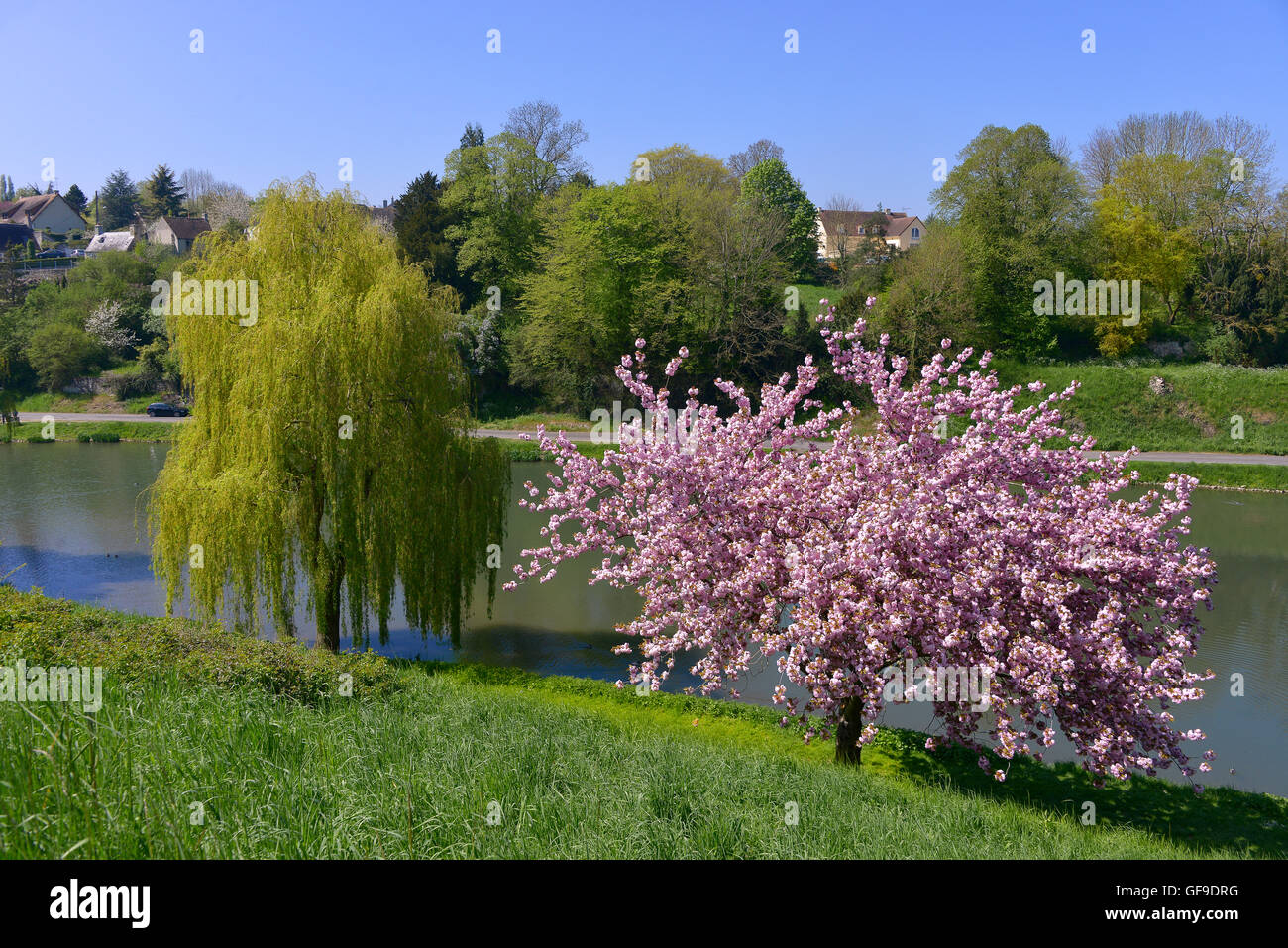 Étang à Falaise en France Banque D'Images