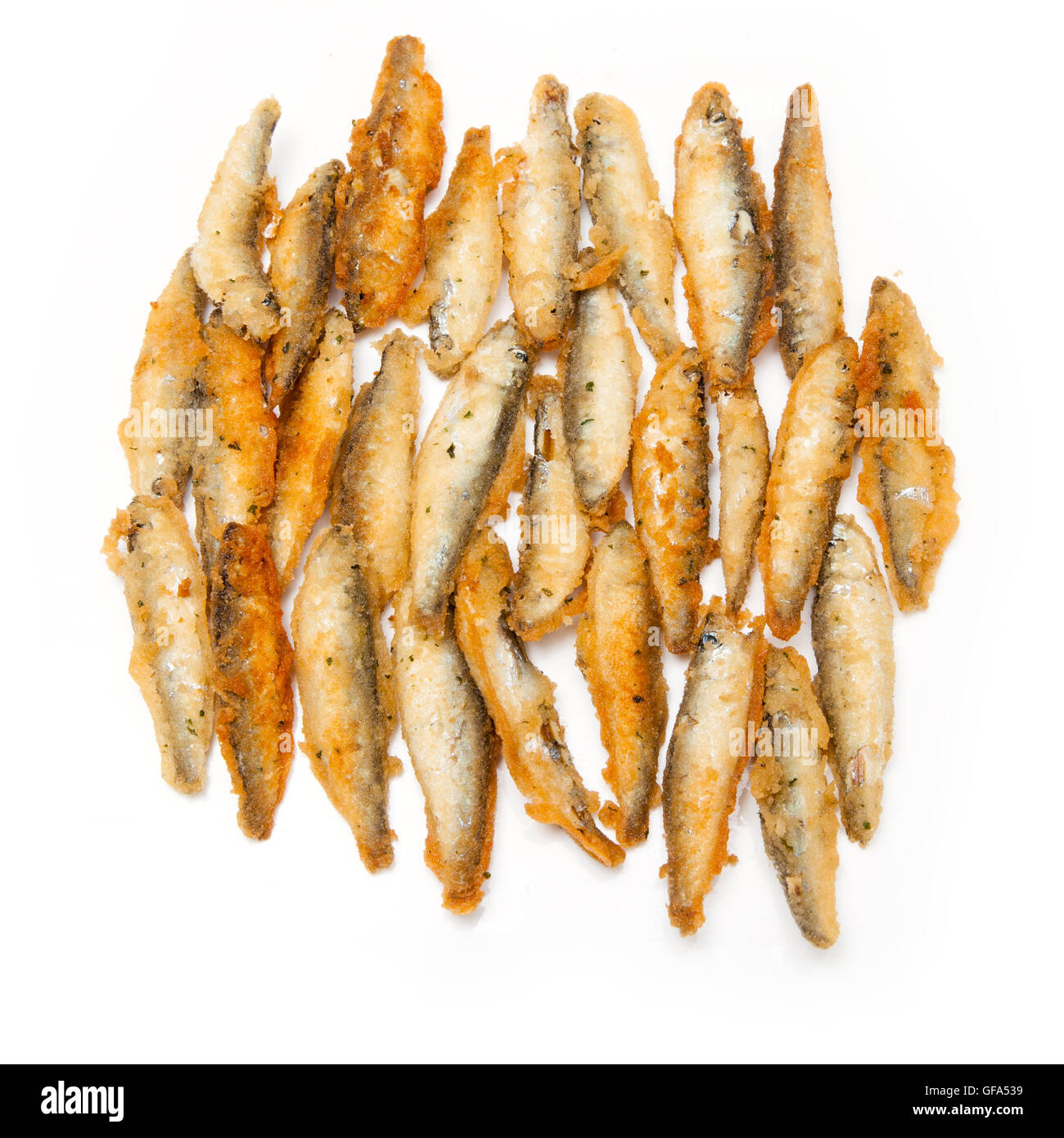 Anchois friture battues (Sprattus sprattus) isolated on a white background studio. Banque D'Images