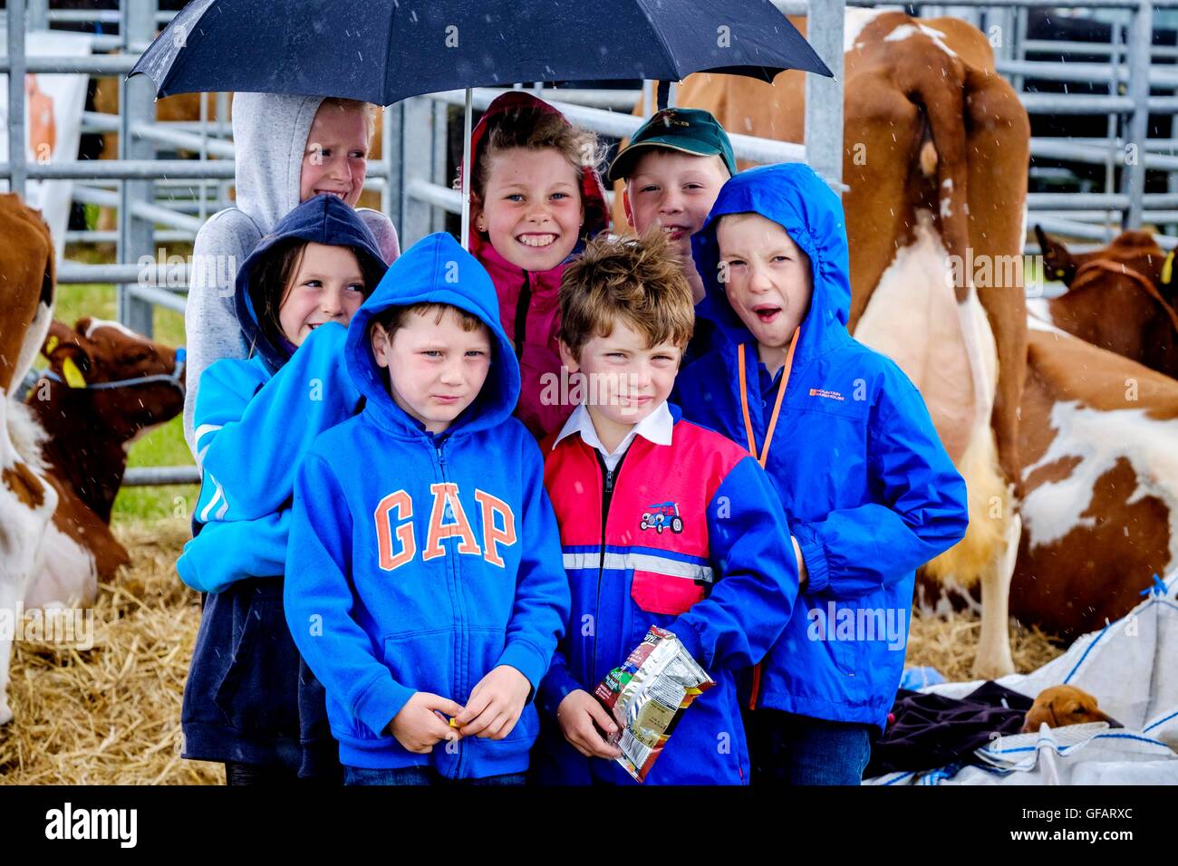 Carnwath, South Lanarkshire, UK Carnwath Comice agricole, South Lanarkshire, UK. 30 juillet, 2016. Les enfants à l'abri d'une douche à effet pluie torrentielle à l'exposition. Crédit : Andrew Wilson/Alamy Live News Banque D'Images