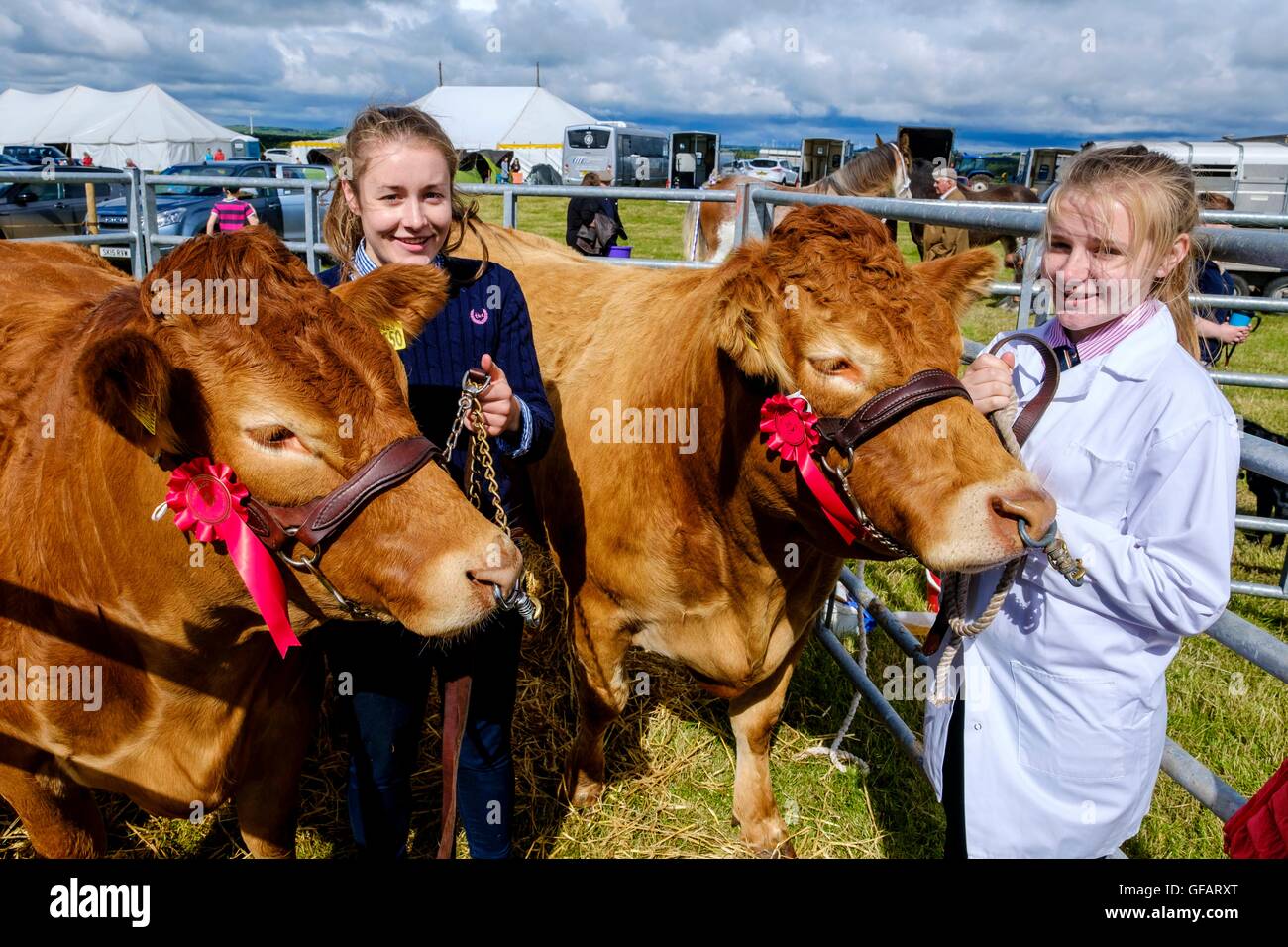 Carnwath, South Lanarkshire, UK Carnwath Comice agricole, South Lanarkshire, UK. 30 juillet, 2016. Sœurs Amy (L) et Jane Lindsay de Whitburn, West Lothian avec leurs bovins primés. Crédit : Andrew Wilson/Alamy Live News Banque D'Images