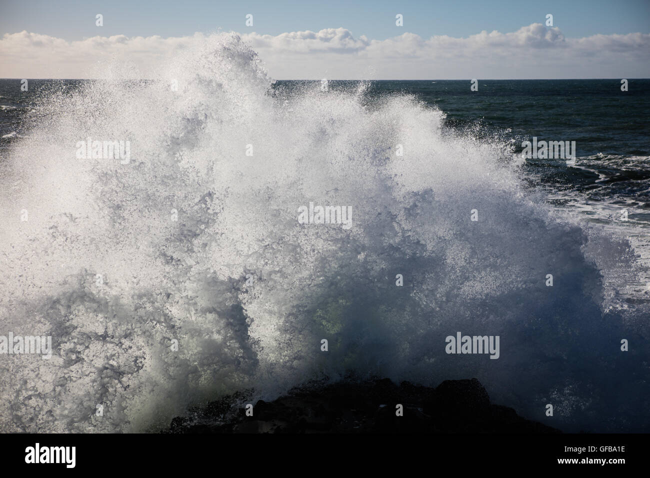 Vagues puissantes de l'océan pacifique contre l'écrasement de Sonoma Coast rocheuses de Californie du Nord pittoresque. Banque D'Images