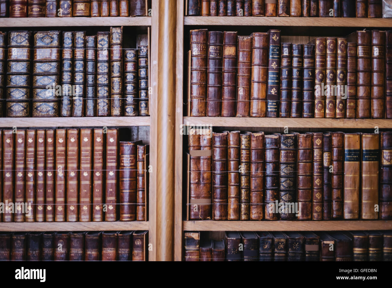 Collection de livres anciens ; minutieusement organisé, bibliothèque Banque D'Images