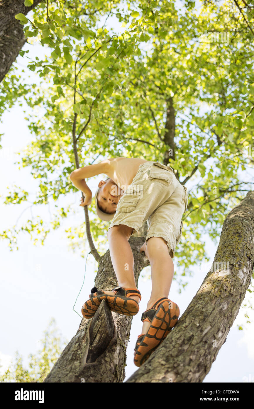 Petit garçon s'amuse à grimper à l'arbre lors de la journée d'été Banque D'Images