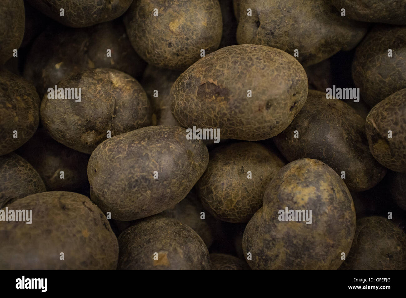 Vitelotte noir Banque de photographies et d’images à haute résolution Alamy