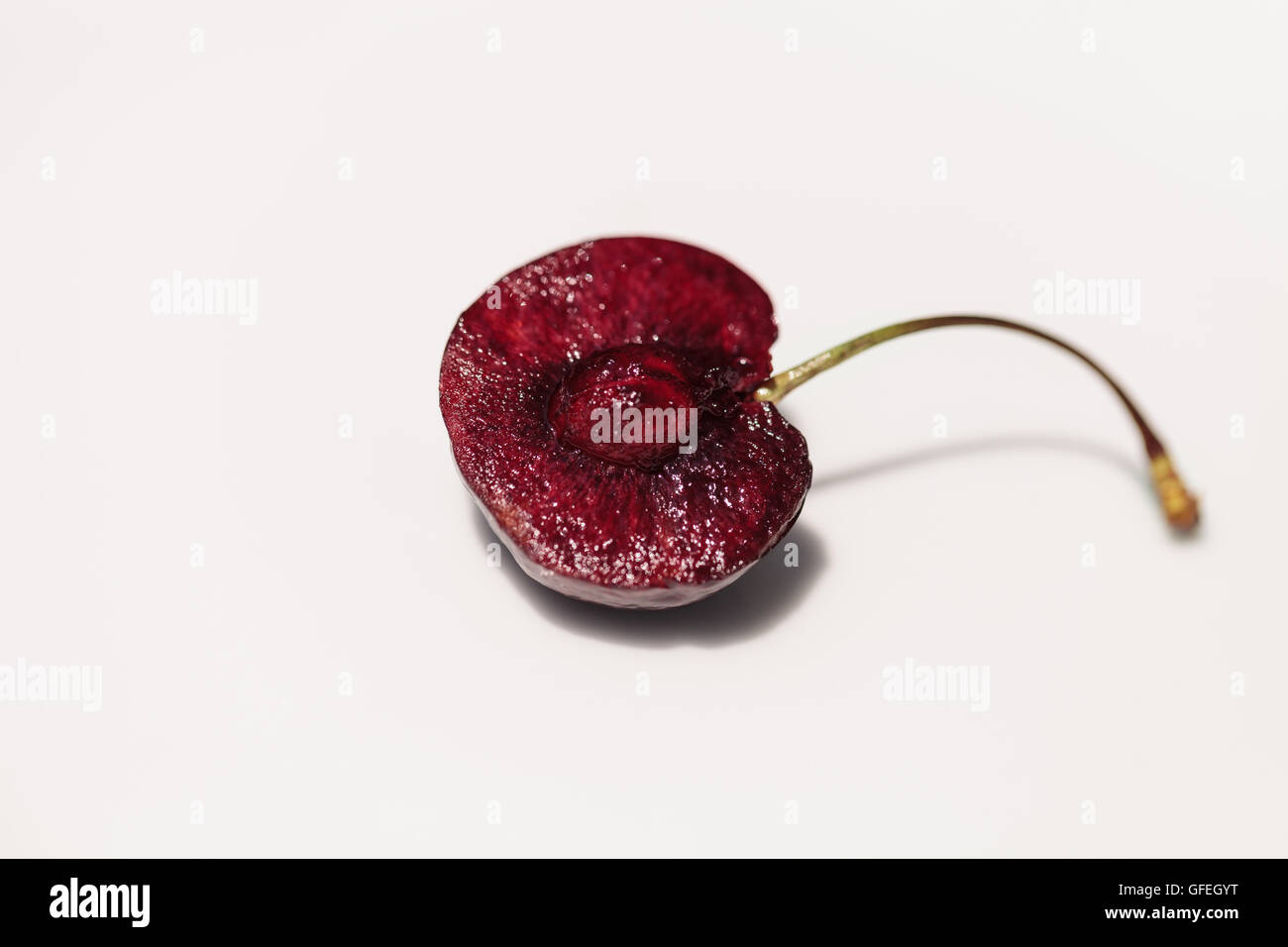 Macro d'une couleur rouge cerise noire avec une tige verte sur un fond blanc. Banque D'Images