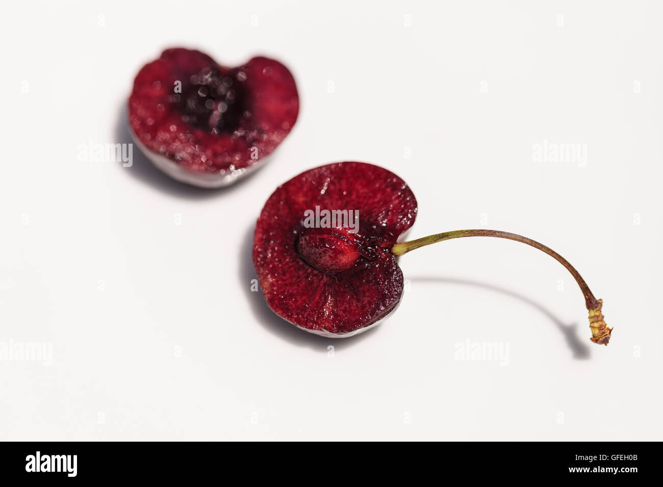 Macro d'une couleur rouge cerise noire avec une tige verte sur un fond blanc. Banque D'Images