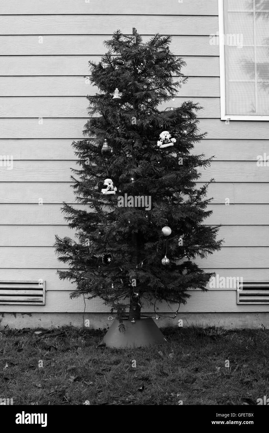 Arbre de Noël dans la cour arrière avec des chaises de jardin et fenêtre Banque D'Images