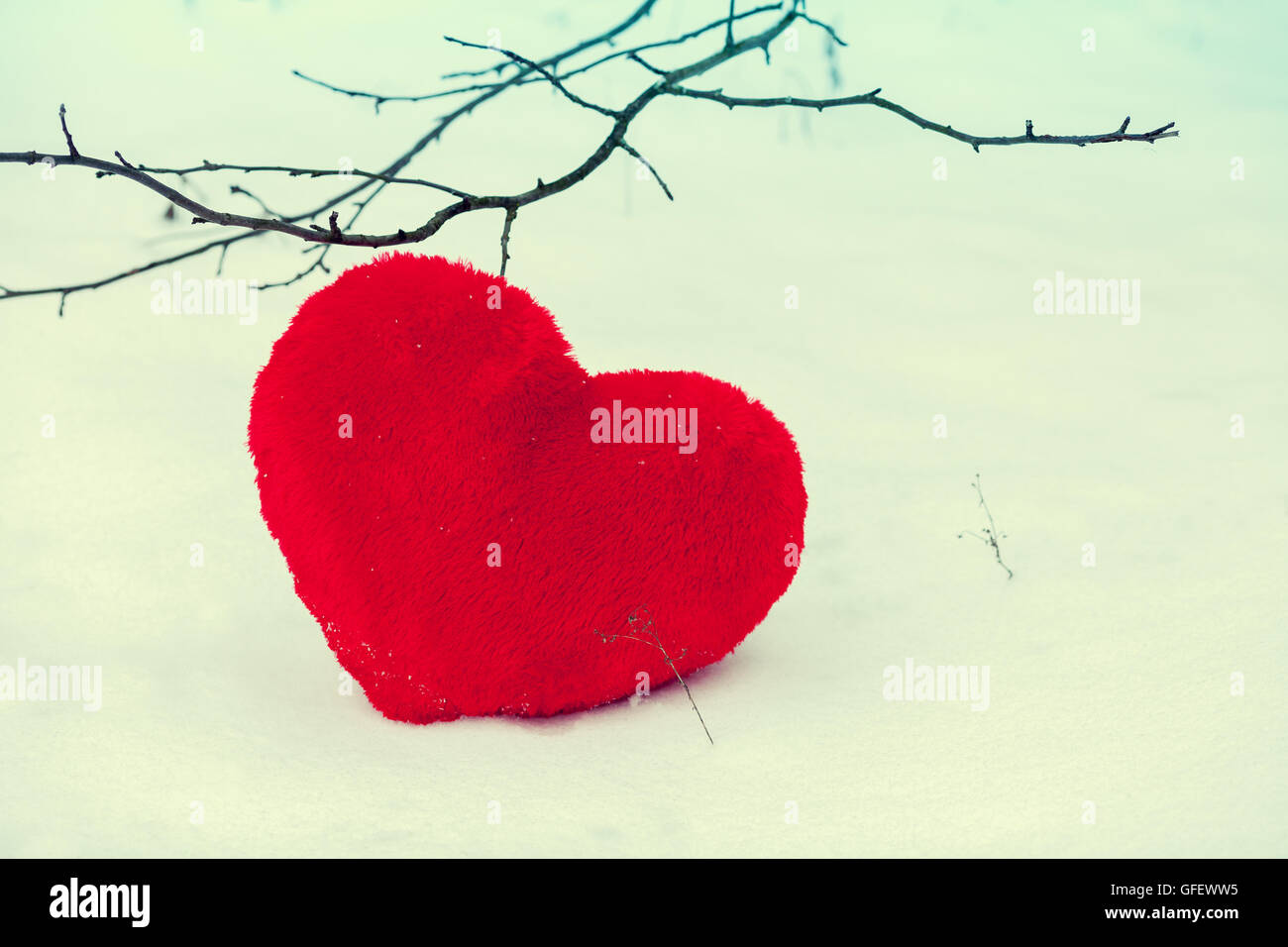 Cœur rouge sur la neige Banque D'Images