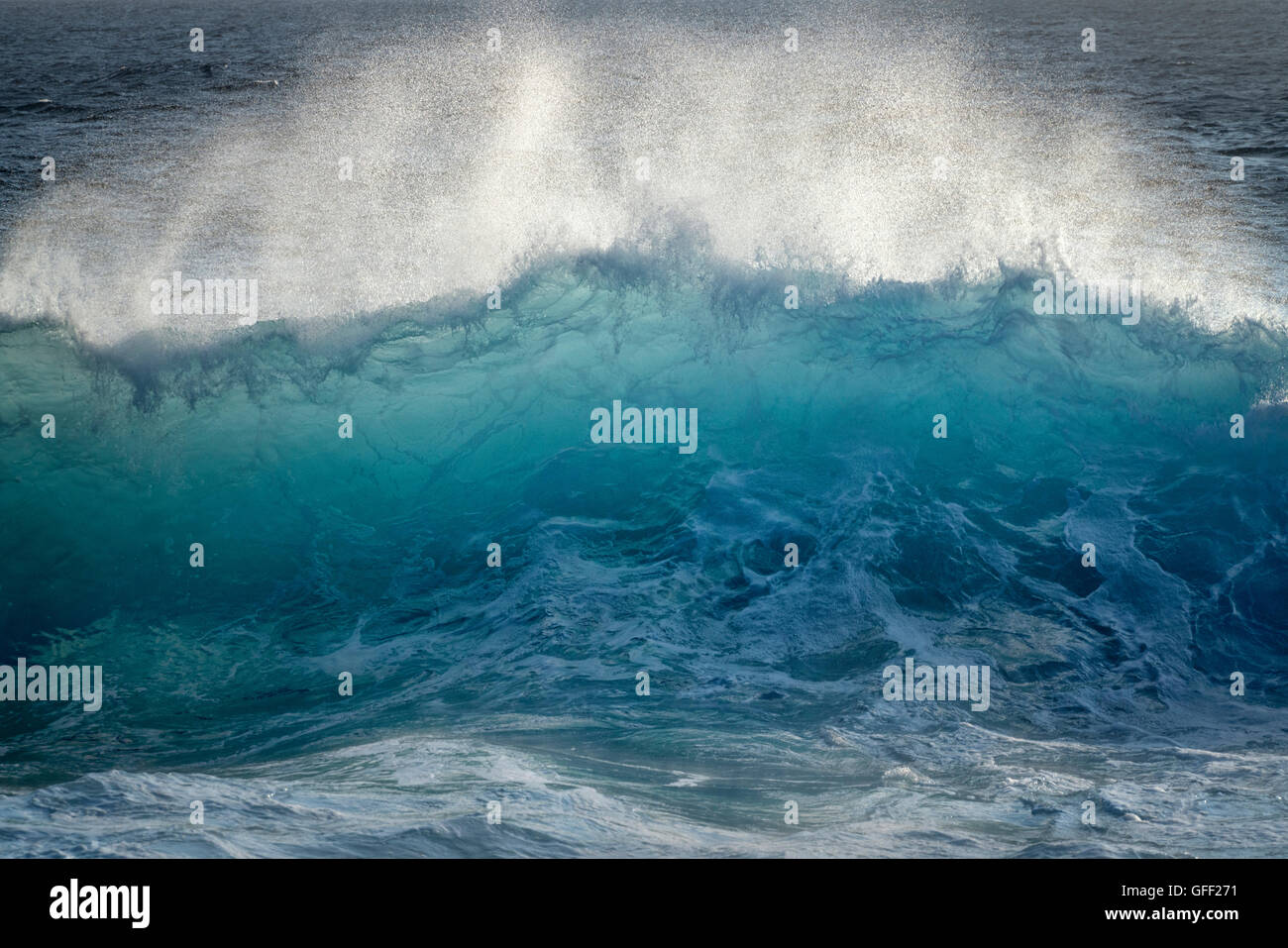 Les grandes vagues de l'océan. L'île de Hawaii. Banque D'Images