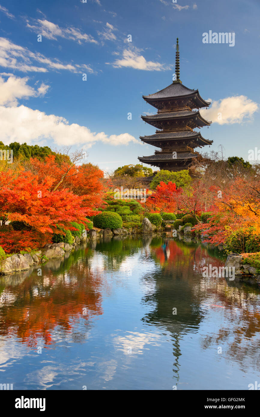 Kyoto, Japon à la Pagode Toji en automne. Banque D'Images