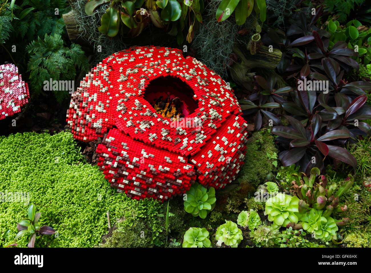 Fleur Cadavre est fait de briques en plastique emboîtables jouet. Fleur Cadavre est la plus grande fleur sur terre. Corp puant Banque D'Images
