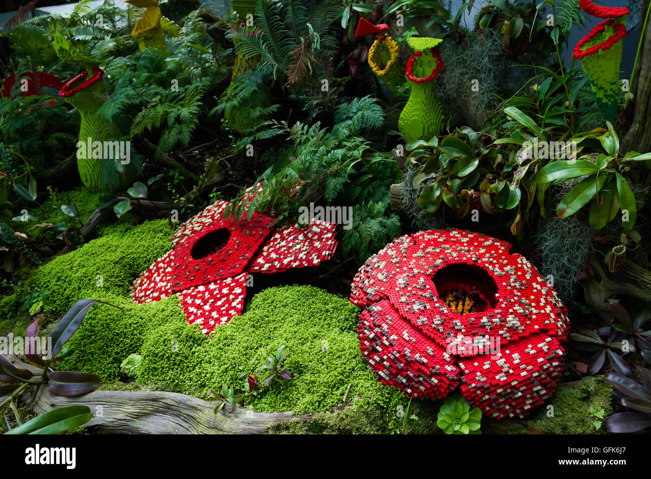 Fleur Cadavre a été faite de briques en plastique emboîtables toy (Selective focus fleur à l'avant). Rafflesia arnoldii, kerrii Banque D'Images