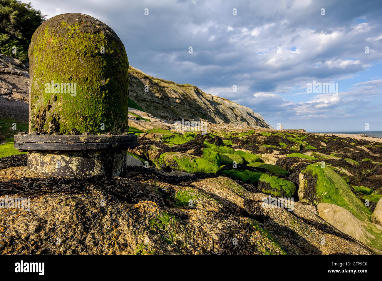 Folkestone à la côte en direction de Douvres. Kent, Angleterre Banque D'Images