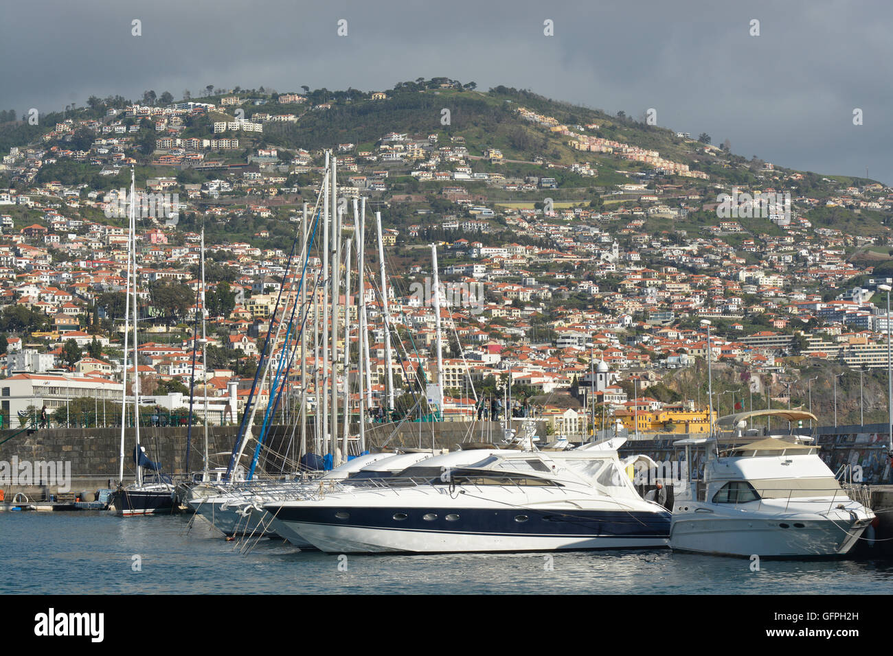 Bateaux amarrés dans le port de plaisance et sur le front de mer de Funchal, Madeira, Portugal Banque D'Images