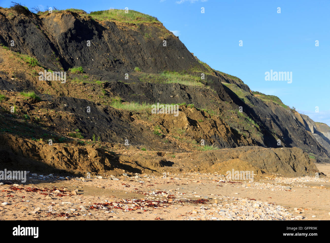 Falaises à épaulement de marnes noires Ven à Stonebarrow Mudstone Hill, Charmouth, Dorset. UK montrant le résultat de glissements fréquents Banque D'Images