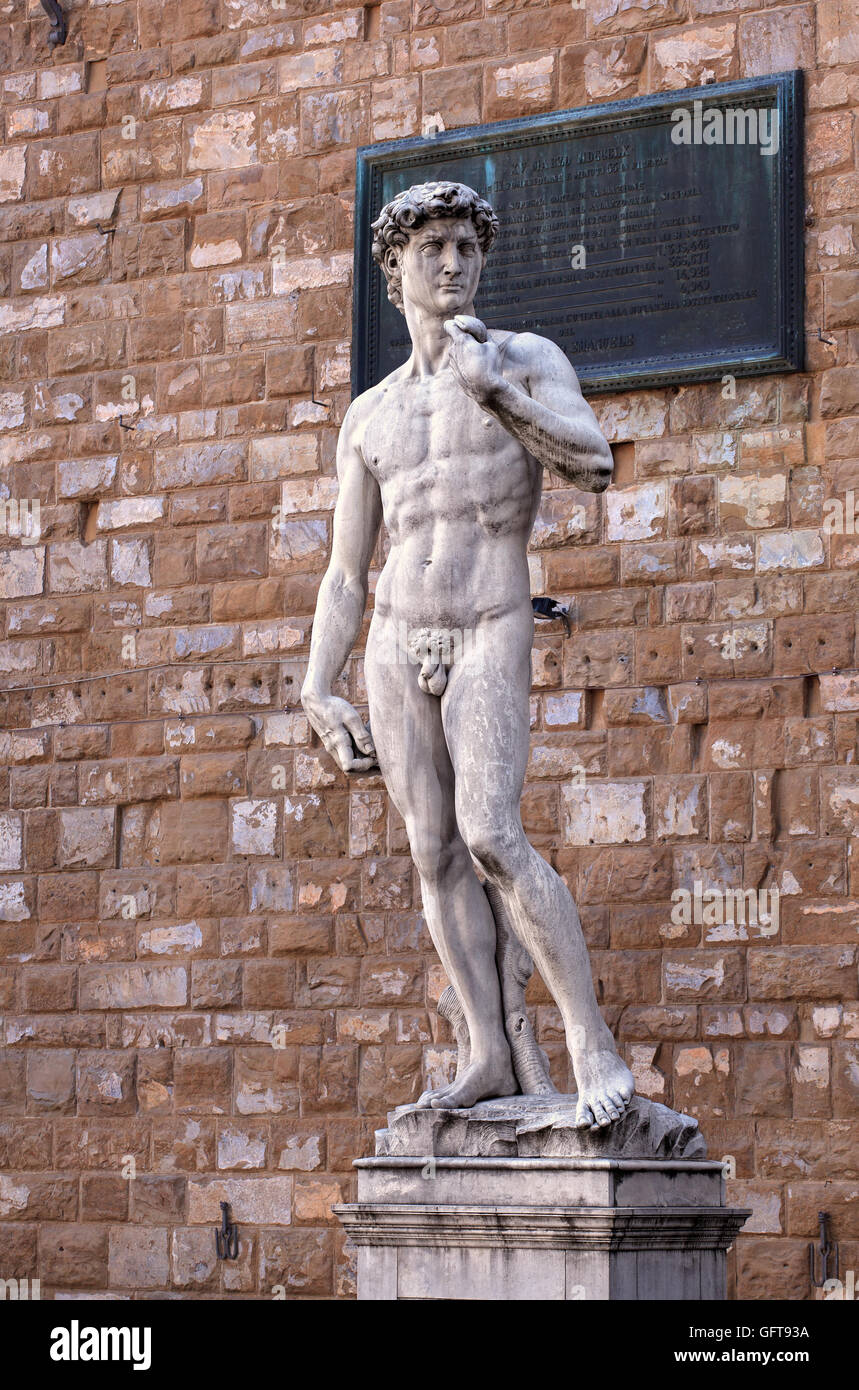 Vue sur le David de Michel-Ange à Florence, Toscane. Italie Banque D'Images