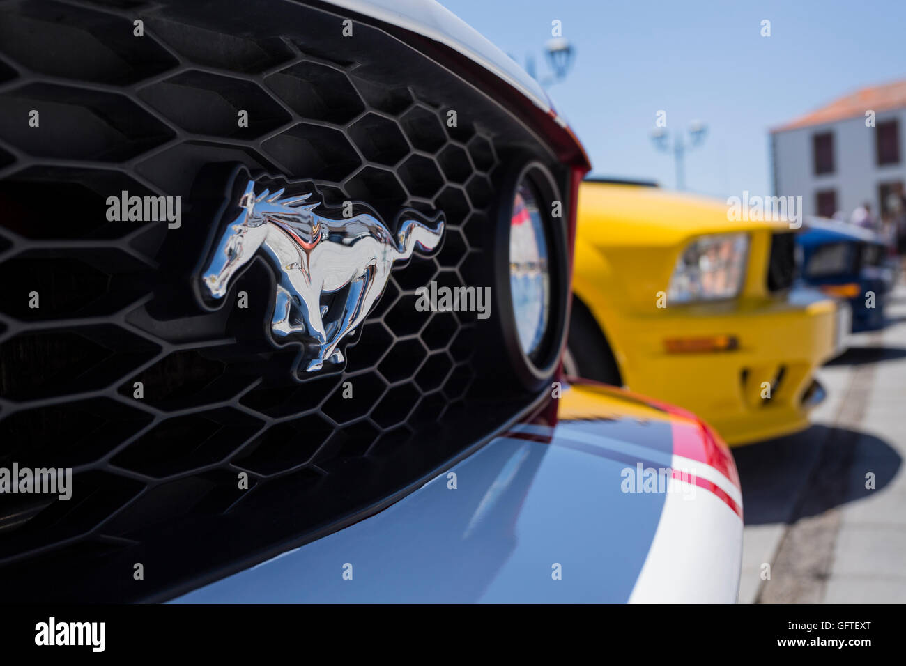 Ford Mustang calandre et l'insigne Banque D'Images