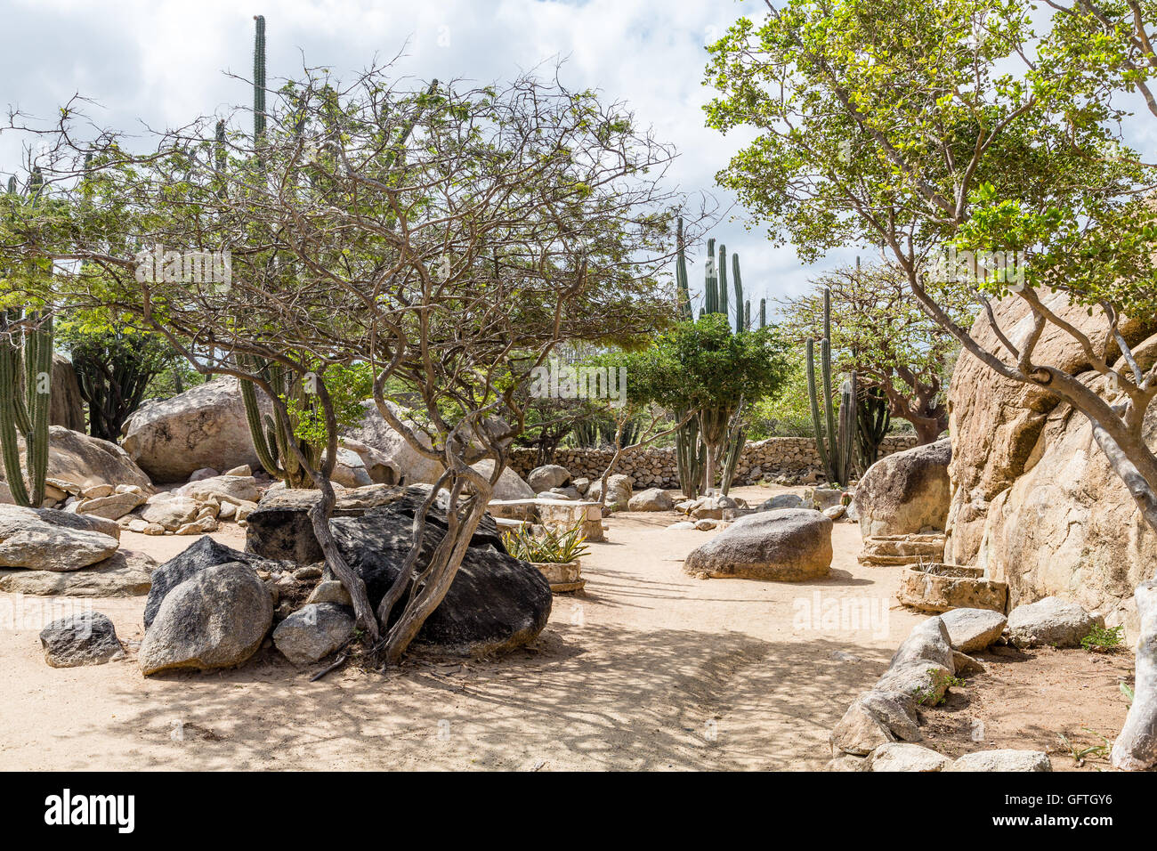 Rochers, arbres et Divi Divi Aruba en Cactus Garden Banque D'Images