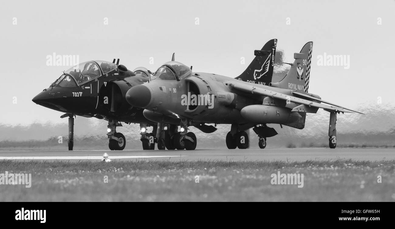 Royal Navy Sea Harrier Jump Jet RNAS Culdrose ont pris part à la Journée de l'événement/aperçu en 2016 (masse Taxy Afficher uniquement) Banque D'Images