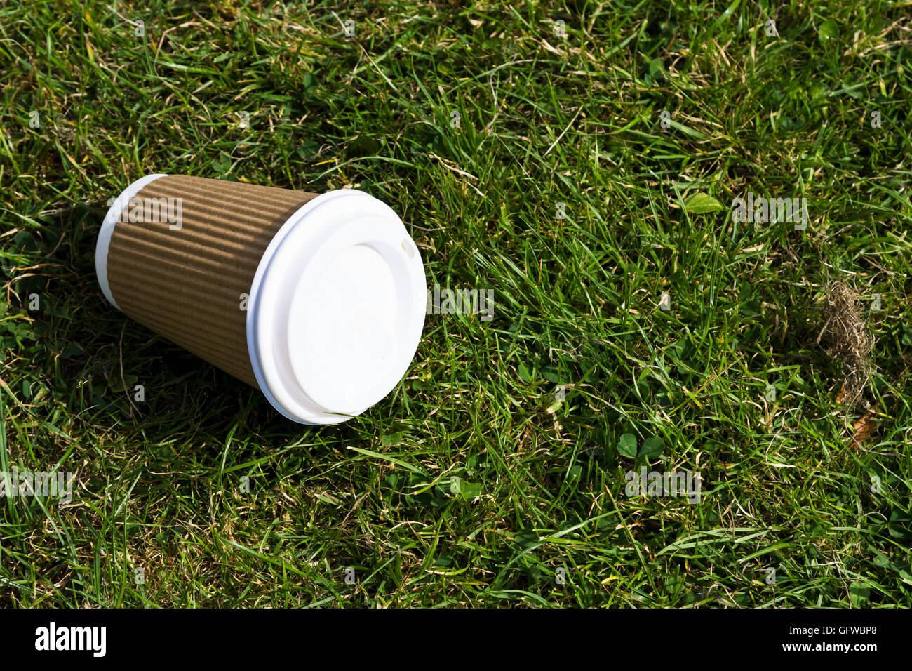 Papier non recyclables tasse de café allongé à l'abandon sur l'herbe Banque D'Images