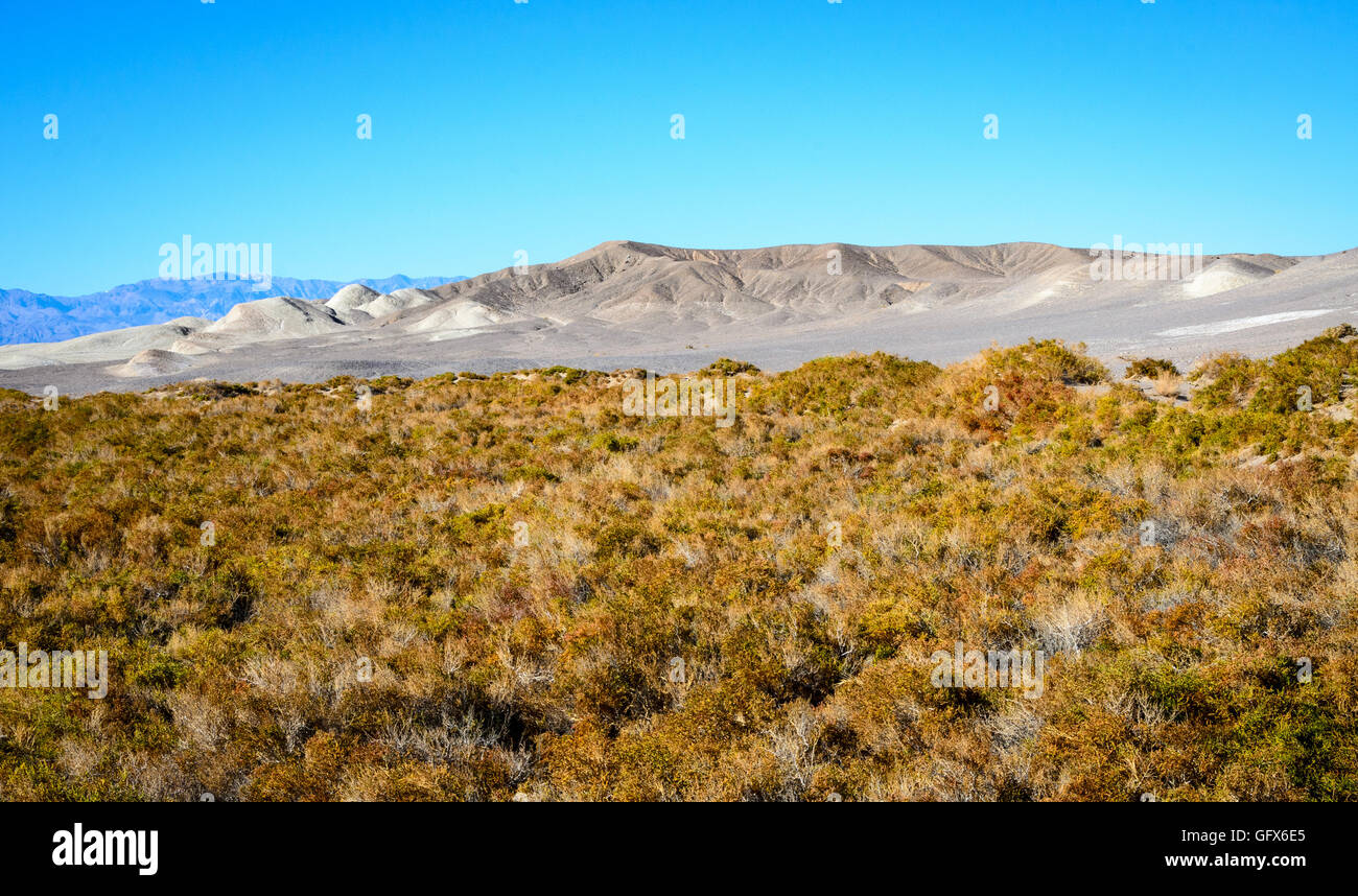 Death Valley National Park Banque D'Images