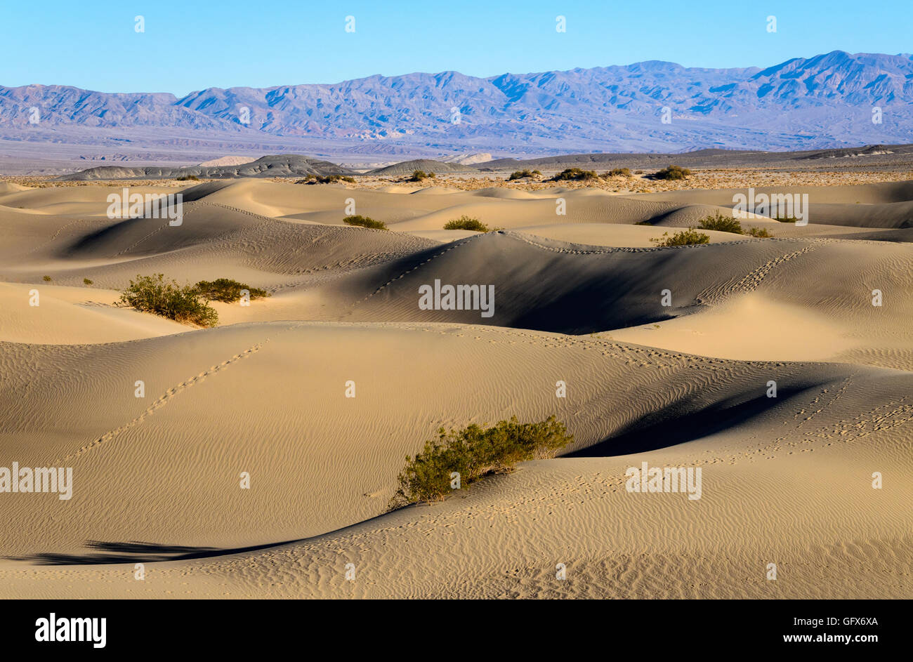 Death Valley National Park Banque D'Images