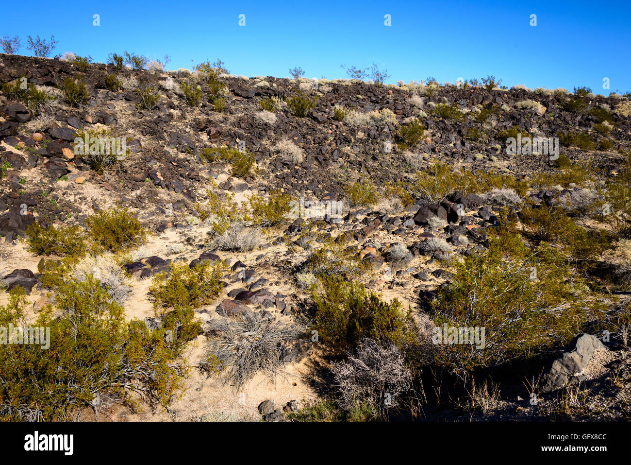 Mojave National Preserve Banque D'Images