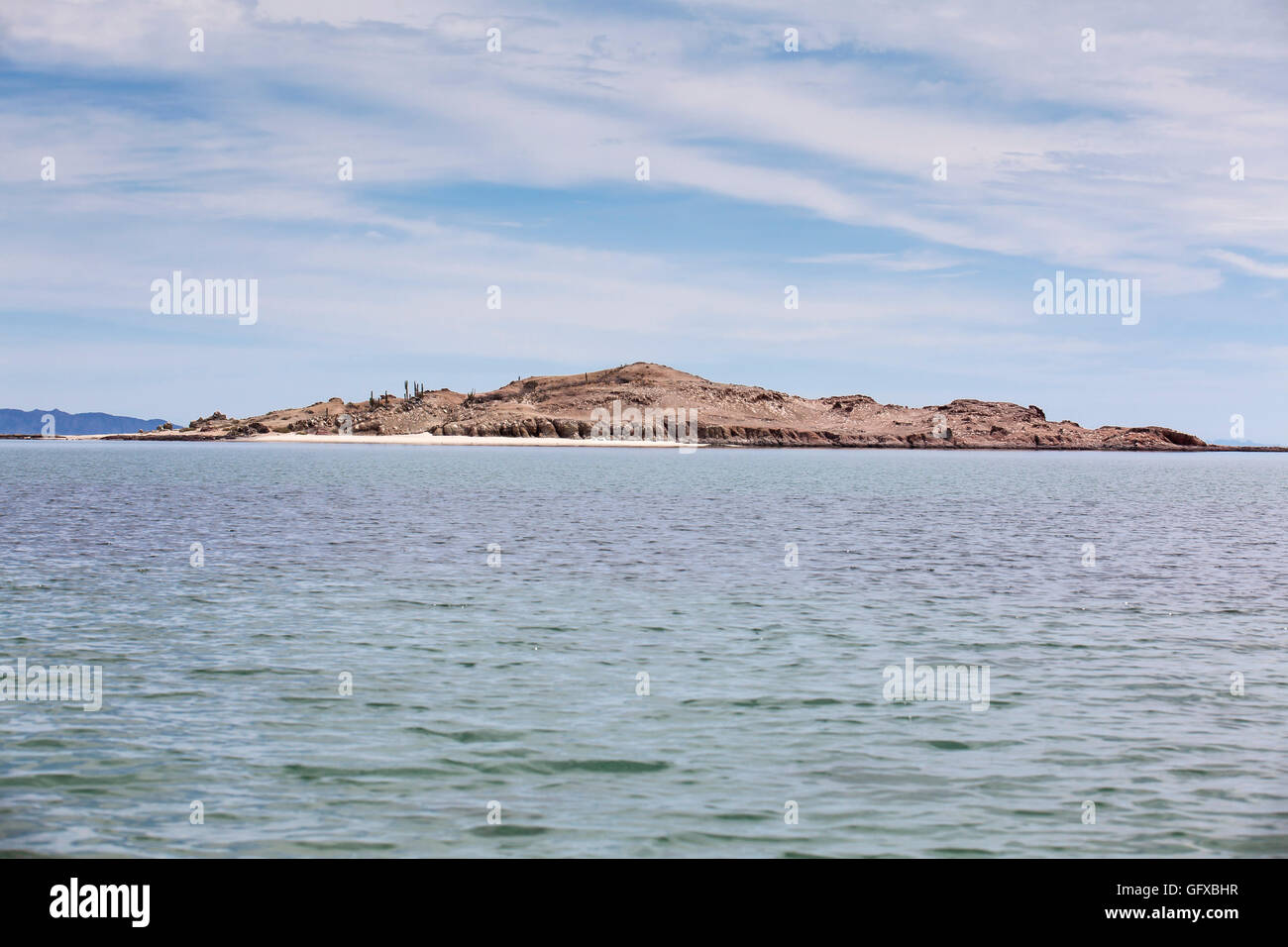 À l'île de la Baie des Anges - Baja California Banque D'Images